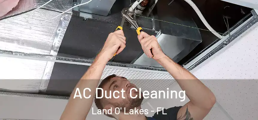  AC Duct Cleaning Land O' Lakes - FL