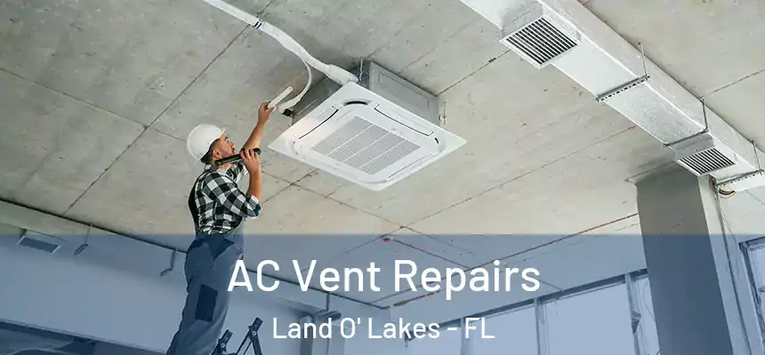  AC Vent Repairs Land O' Lakes - FL