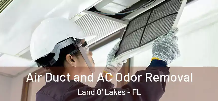  Air Duct and AC Odor Removal Land O' Lakes - FL
