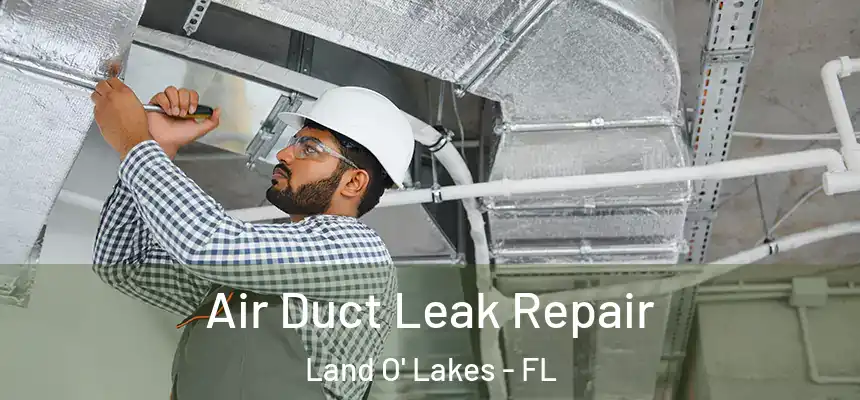 Air Duct Leak Repair Land O' Lakes - FL