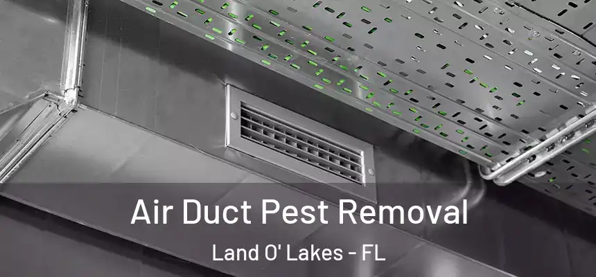 Air Duct Pest Removal Land O' Lakes - FL