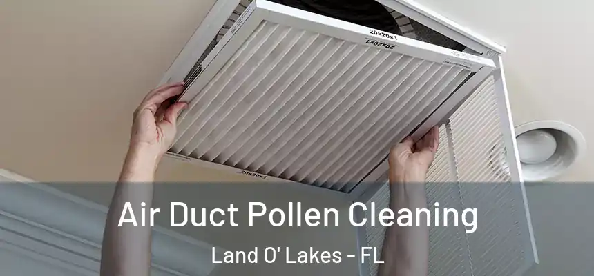 Air Duct Pollen Cleaning Land O' Lakes - FL