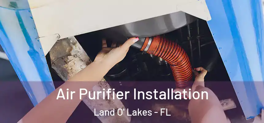  Air Purifier Installation Land O' Lakes - FL