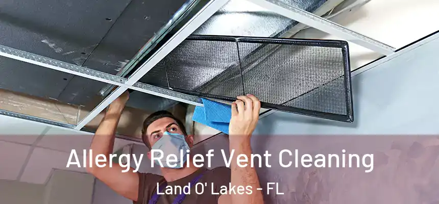  Allergy Relief Vent Cleaning Land O' Lakes - FL