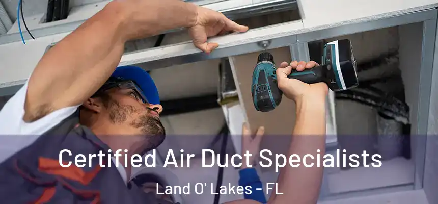 Certified Air Duct Specialists Land O' Lakes - FL