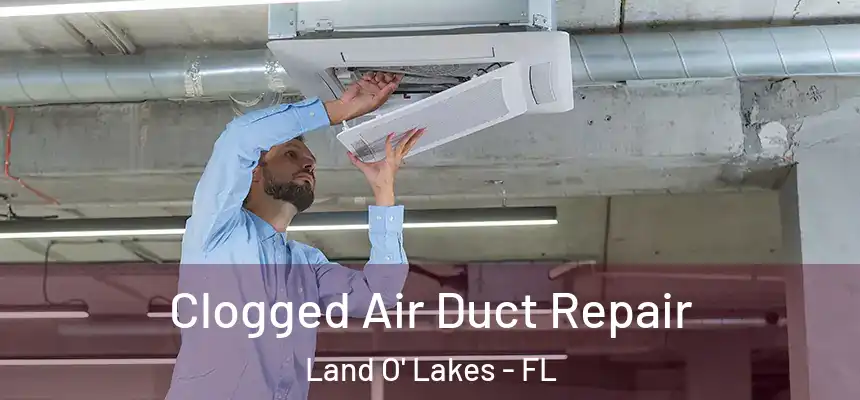 Clogged Air Duct Repair Land O' Lakes - FL