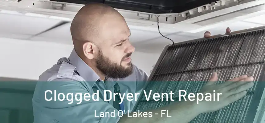  Clogged Dryer Vent Repair Land O' Lakes - FL