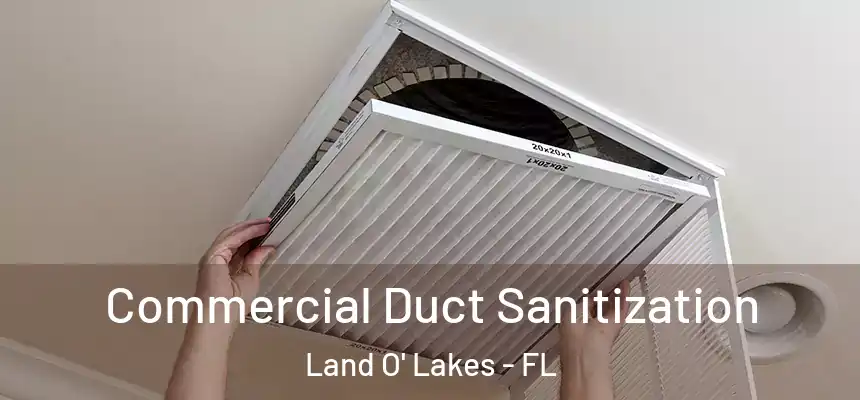  Commercial Duct Sanitization Land O' Lakes - FL