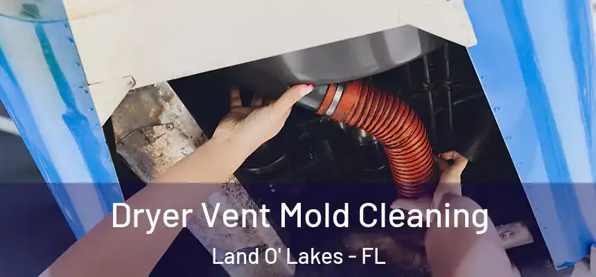  Dryer Vent Mold Cleaning Land O' Lakes - FL