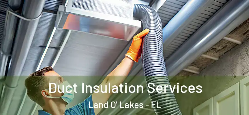 Duct Insulation Services Land O' Lakes - FL