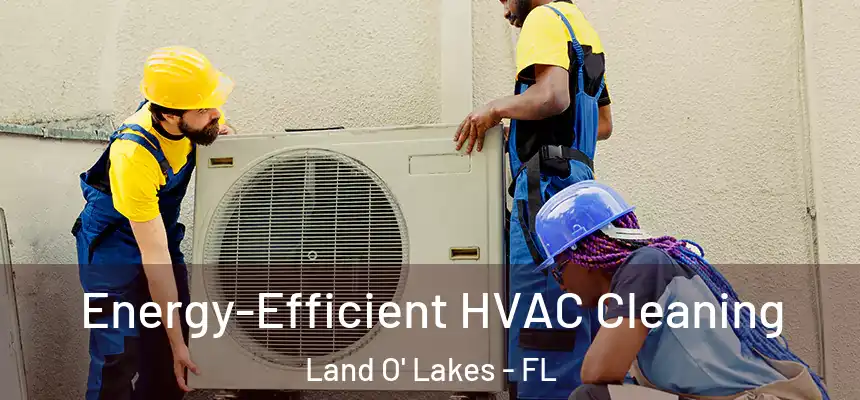  Energy-Efficient HVAC Cleaning Land O' Lakes - FL