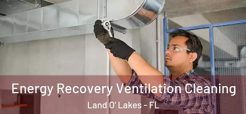  Energy Recovery Ventilation Cleaning Land O' Lakes - FL