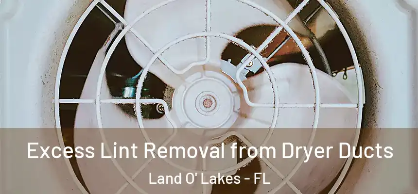 Excess Lint Removal from Dryer Ducts Land O' Lakes - FL
