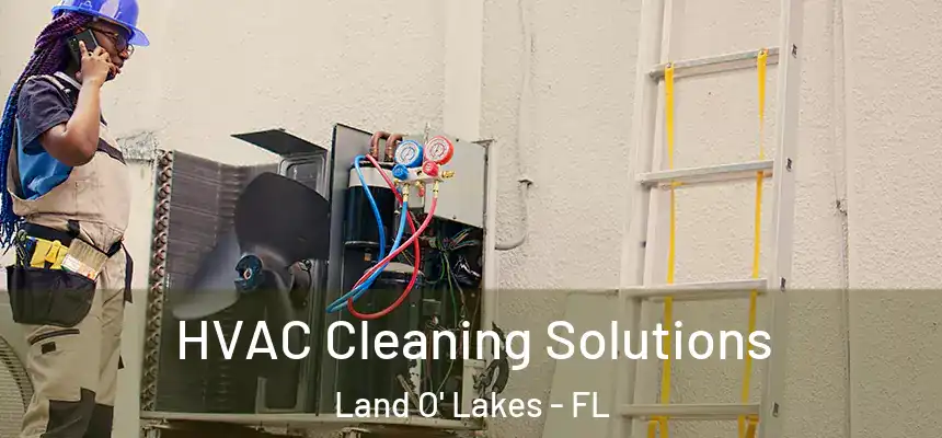 HVAC Cleaning Solutions Land O' Lakes - FL