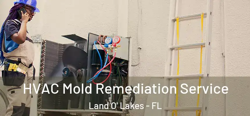  HVAC Mold Remediation Service Land O' Lakes - FL