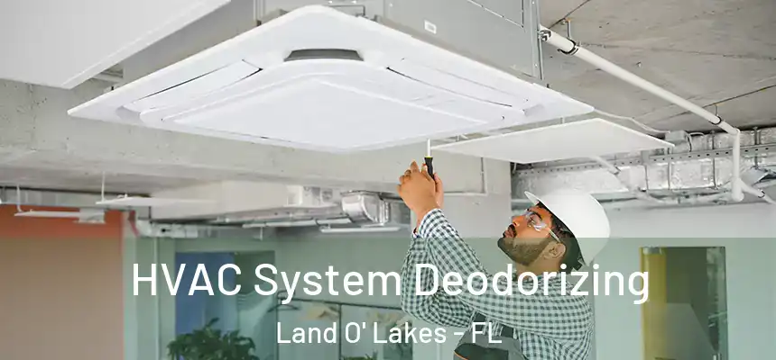HVAC System Deodorizing Land O' Lakes - FL