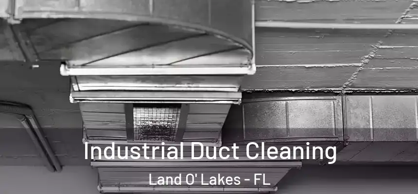 Industrial Duct Cleaning Land O' Lakes - FL