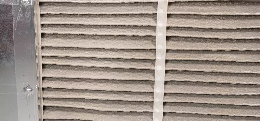 Mobile Car AC Filter Replacement in Land O' Lakes