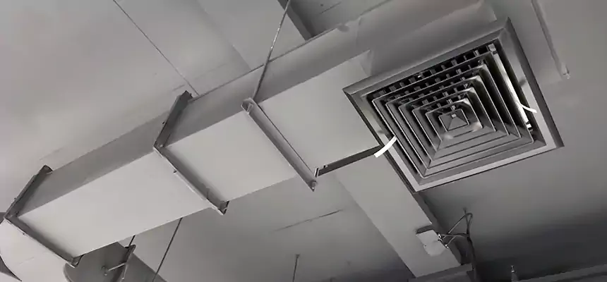 Restorative Allergy Relief Vent Cleaning – Coil, Blower & Housing Detail in Land O' Lakes