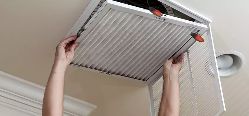 Our Insect Removal from Air Ducts Services in Land O' Lakes, FL