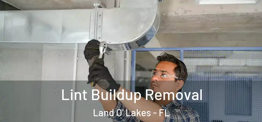 Lint Buildup Removal Land O' Lakes - FL