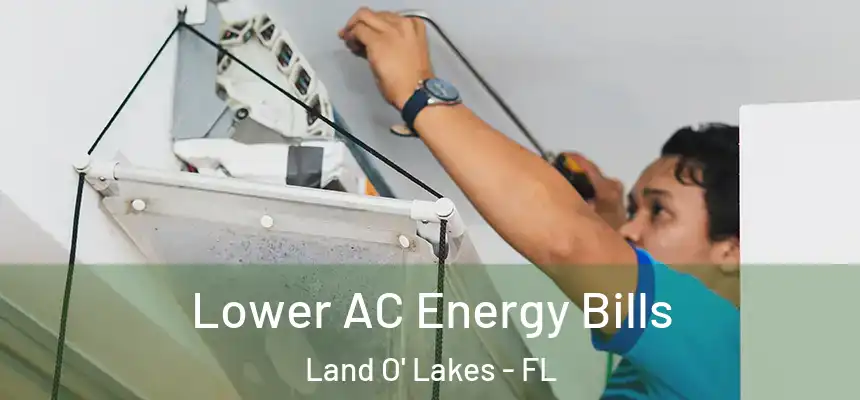  Lower AC Energy Bills Land O' Lakes - FL