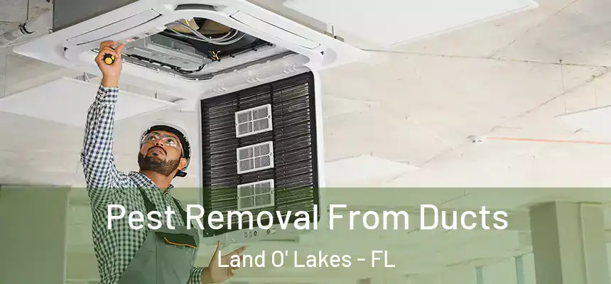  Pest Removal From Ducts Land O' Lakes - FL