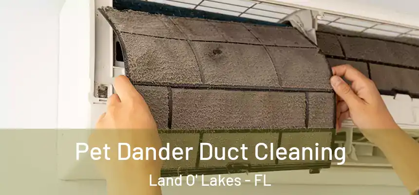 Pet Dander Duct Cleaning Land O' Lakes - FL