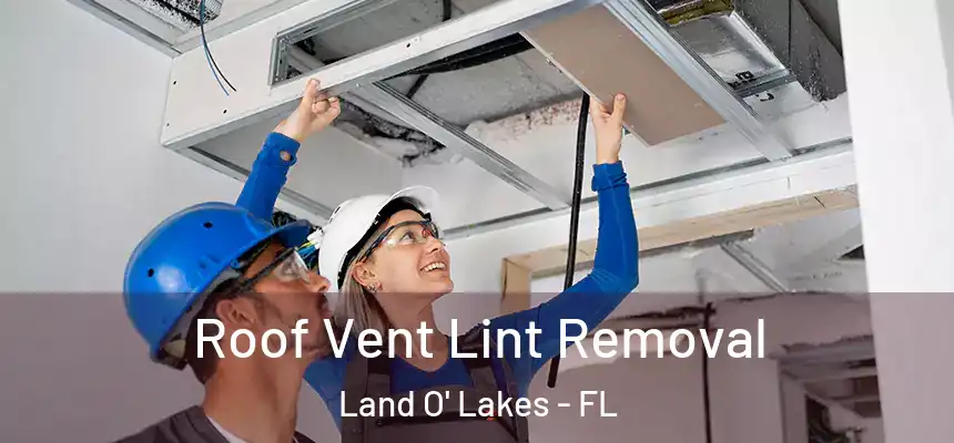  Roof Vent Lint Removal Land O' Lakes - FL