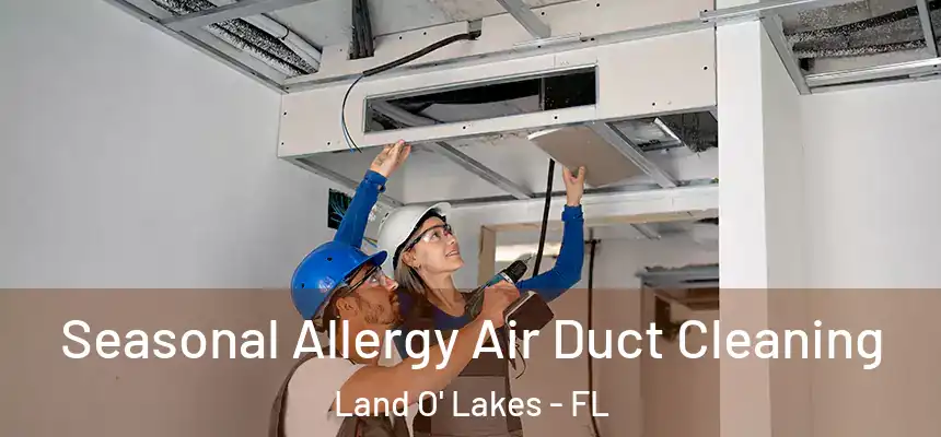 Seasonal Allergy Air Duct Cleaning Land O' Lakes - FL