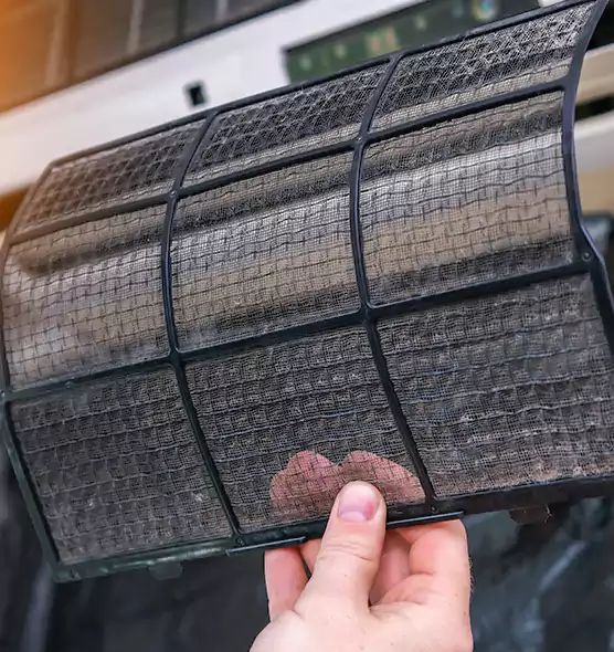 About Pet Dander Duct Cleaning in Land O' Lakes, FL
