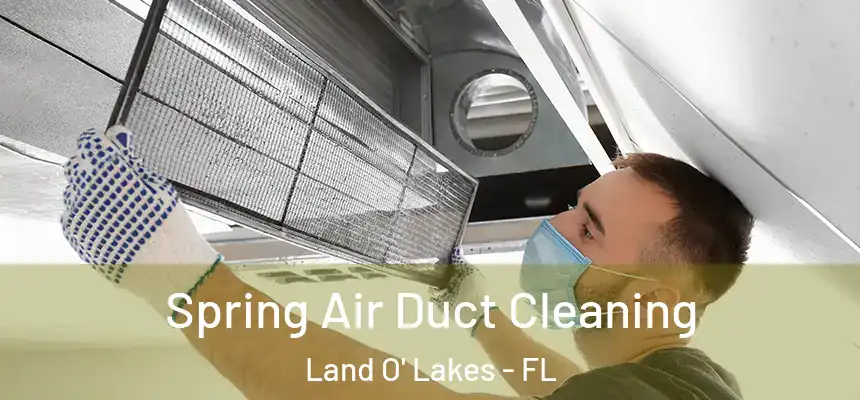 Spring Air Duct Cleaning Land O' Lakes - FL