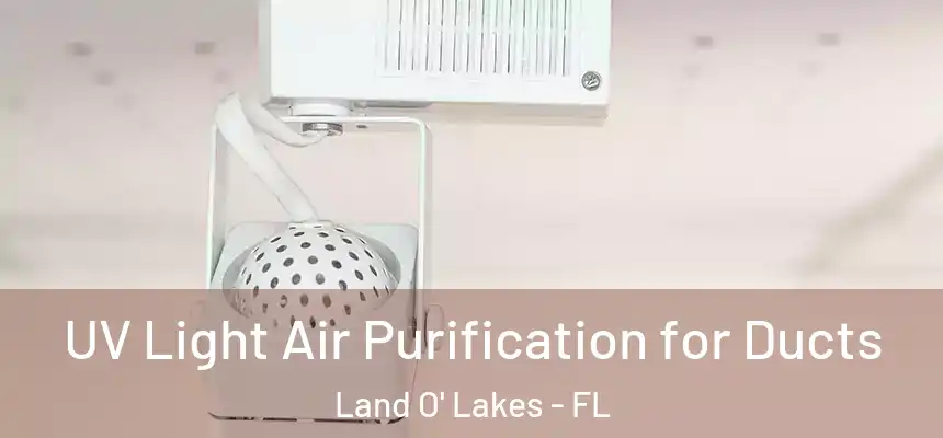  UV Light Air Purification for Ducts Land O' Lakes - FL