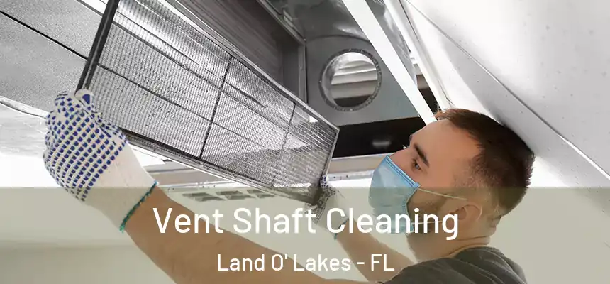  Vent Shaft Cleaning Land O' Lakes - FL