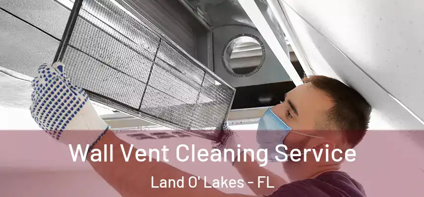  Wall Vent Cleaning Service Land O' Lakes - FL